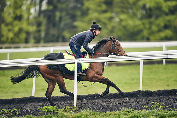 HORSES-IN-TRAINING-18TH-APR-DJ-1710