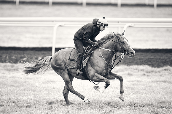 HORSES-IN-TRAINING-18TH-APR-DJ-1545
