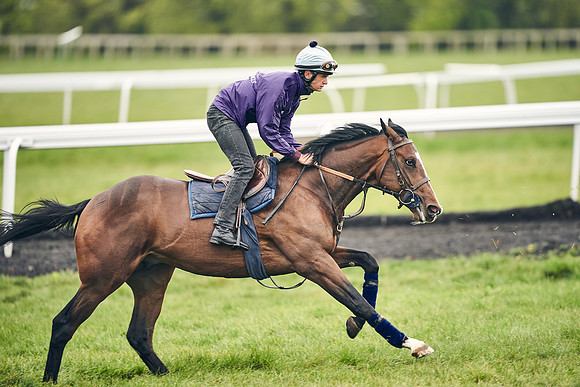 HORSES-IN-TRAINING-18TH-APR-DJ-1565
