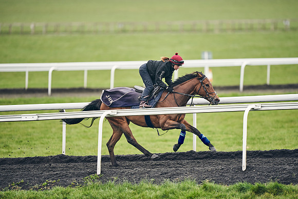 HORSES-IN-TRAINING-18TH-APR-DJ-1865
