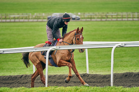 2020-10-31-Dominic-James-3813