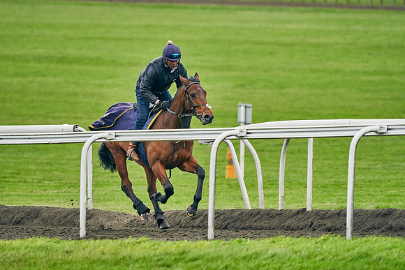 2020-10-31-Dominic-James-3986