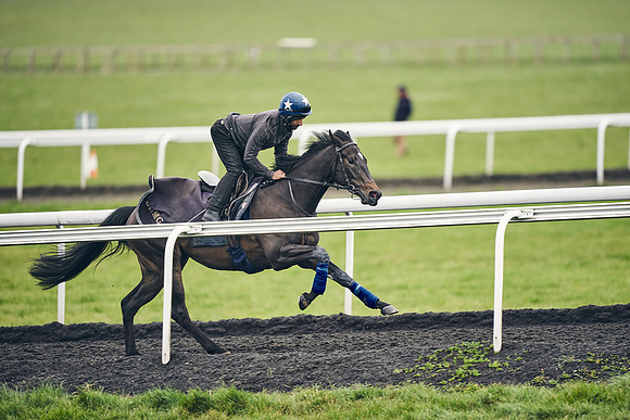 HORSES-IN-TRAINING-18TH-APR-DJ-1855