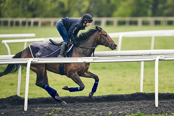HORSES-IN-TRAINING-18TH-APR-DJ-1034