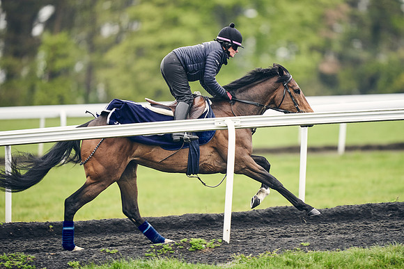 HORSES-IN-TRAINING-18TH-APR-DJ-1792