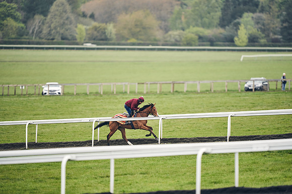 HORSES-IN-TRAINING-18TH-APR-DJ-1479