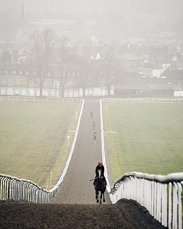 2020-01-24-GALLOPS-DJ-_DJ92660.ARW-0137
