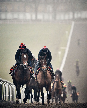 2020-01-24-GALLOPS-DJ-_DJ92536.ARW-0025