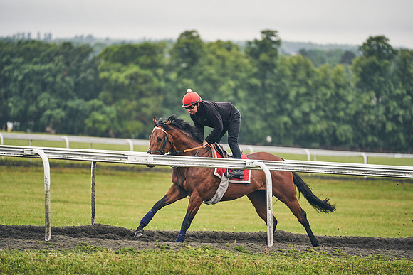 8TH-JULY-Dominic-James-1322