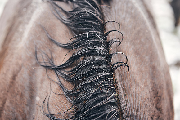 NATIONAL-STUD-27th-FEB-DJ-_DJ94969.ARW-6123