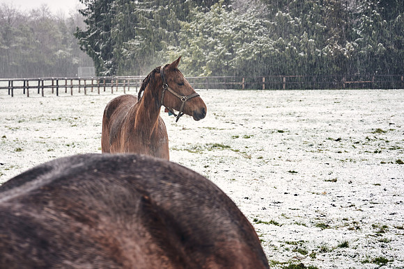 NATIONAL-STUD-27th-FEB-DJ-_DJ95079.ARW-6233