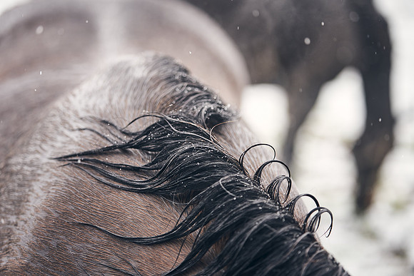 NATIONAL-STUD-27th-FEB-DJ-_DJ94975.ARW-6129