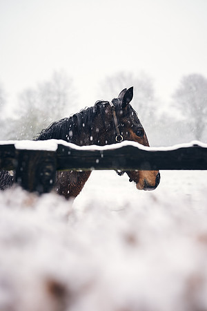 NATIONAL-STUD-27th-FEB-DJ-_DJ94346.ARW-5500