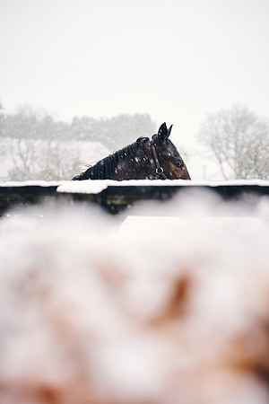 NATIONAL-STUD-27th-FEB-DJ-_DJ94337.ARW-5491