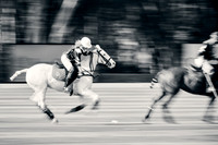 WORLD-POLO-PATRON-2019_DJ_9391