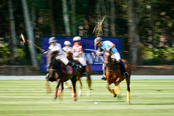 WORLD-POLO-PATRON-2019_DJ_9901