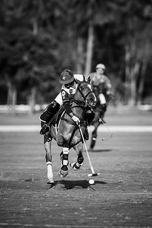 2015011420150114-Dominic-James-Thai-Polo-Open-DJ144556.CR2