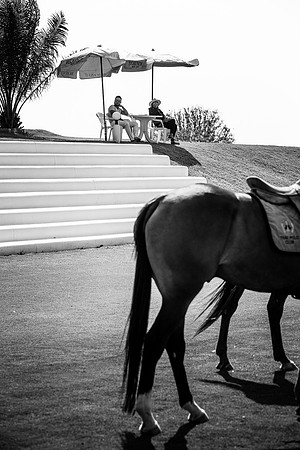 2015011420150114-Dominic-James-Thai-Polo-Open-DJ144202.CR2