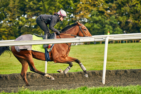 6th-Oct-Dominic-James-03114