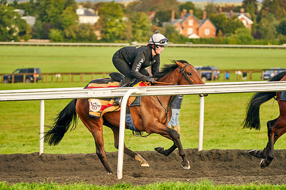 6th-Oct-Dominic-James-03129