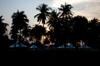 _44C0245