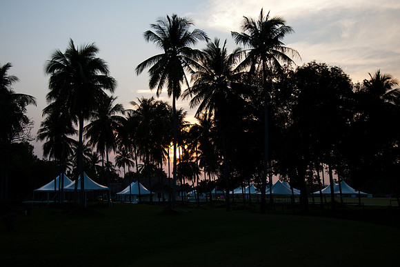 _44C0245