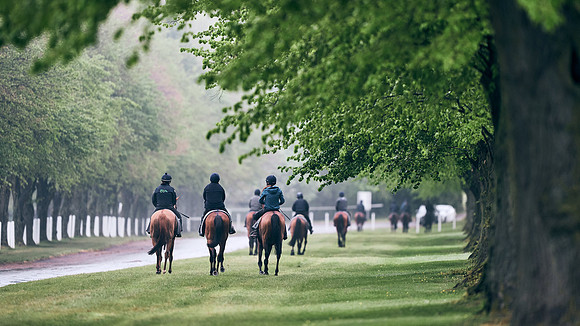NEWMARKET-RACECOURSE-29th-APRIL-DJ-0213