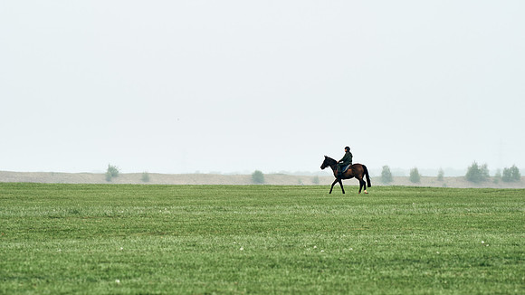 NEWMARKET-RACECOURSE-29th-APRIL-DJ-0901