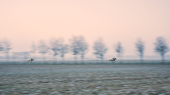 Dominic-James-Horsepower-0026