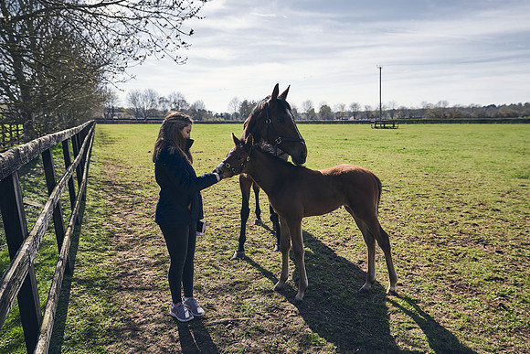 NATS-STUD-FOALS-2020-DJ-0201