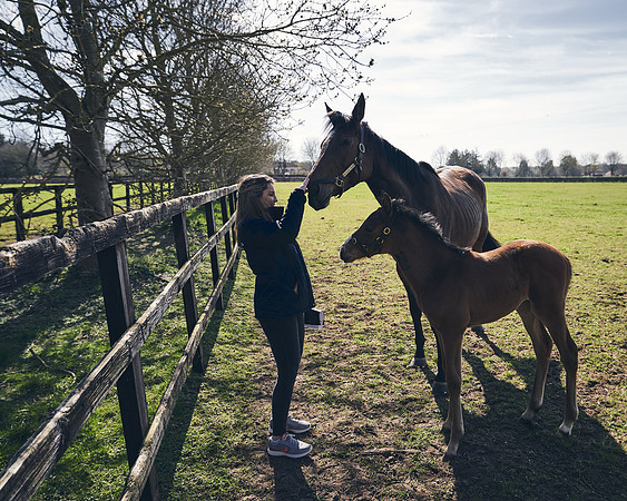 NATS-STUD-FOALS-2020-DJ-0215