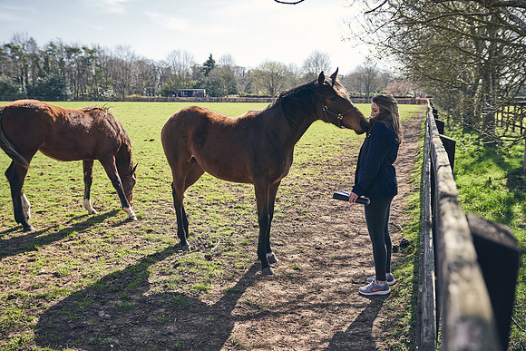 NATS-STUD-FOALS-2020-DJ-0447
