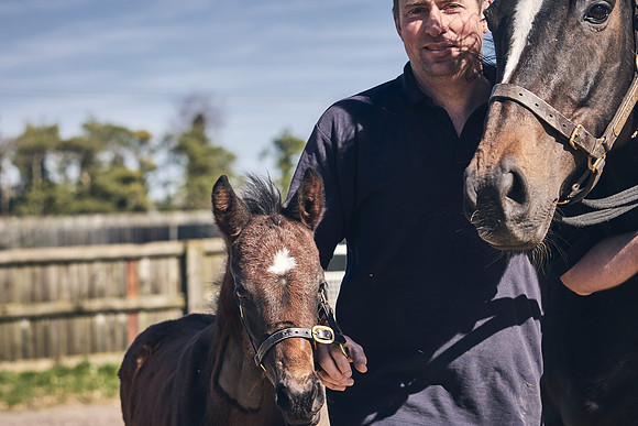 NATS-STUD-FOALS-2020-DJ-1245