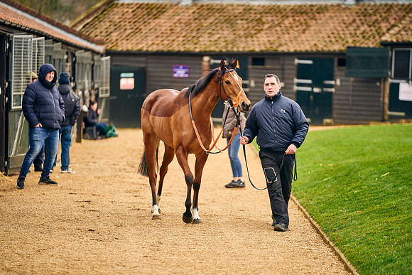 2022-02-03-Dominic-James-3035