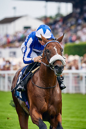 QGF2022_DominicJames_19103