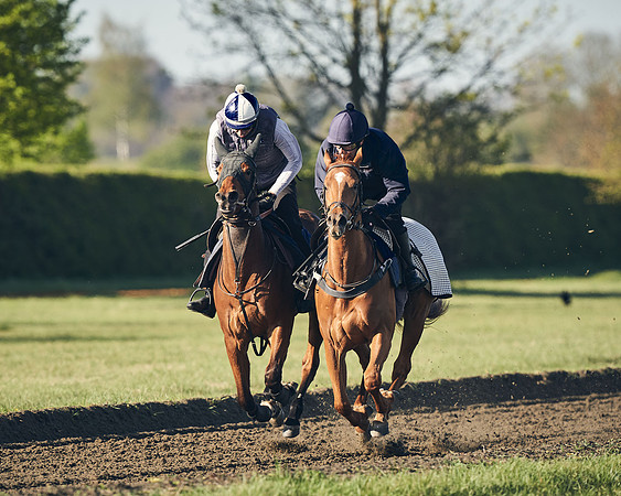 CAMBRIDGE-ROAD-GALLOPS-15TH-APRIL-DJ-_DJ94406-0429