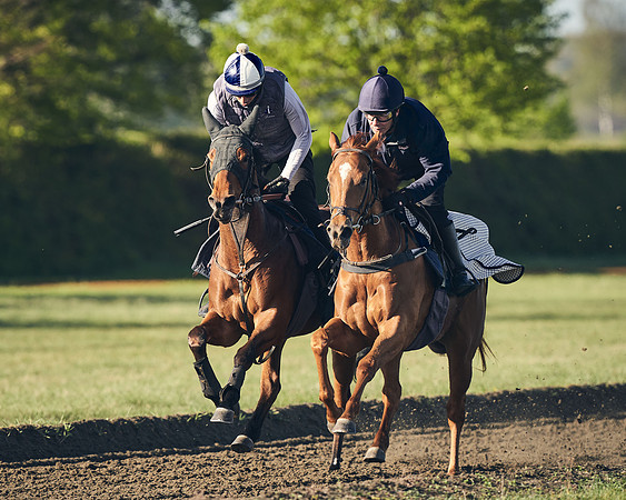 CAMBRIDGE-ROAD-GALLOPS-15TH-APRIL-DJ-_DJ94413-0436