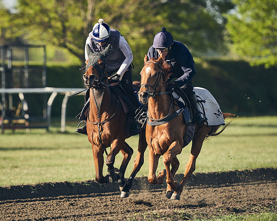 CAMBRIDGE-ROAD-GALLOPS-15TH-APRIL-DJ-_DJ94417-0440