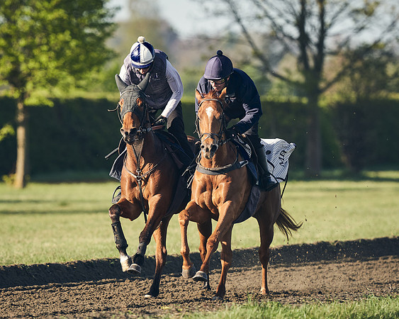 CAMBRIDGE-ROAD-GALLOPS-15TH-APRIL-DJ-_DJ94408-0431