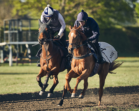 CAMBRIDGE-ROAD-GALLOPS-15TH-APRIL-DJ-_DJ94418-0441