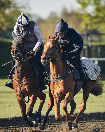 CAMBRIDGE-ROAD-GALLOPS-15TH-APRIL-DJ-_DJ94422-0445