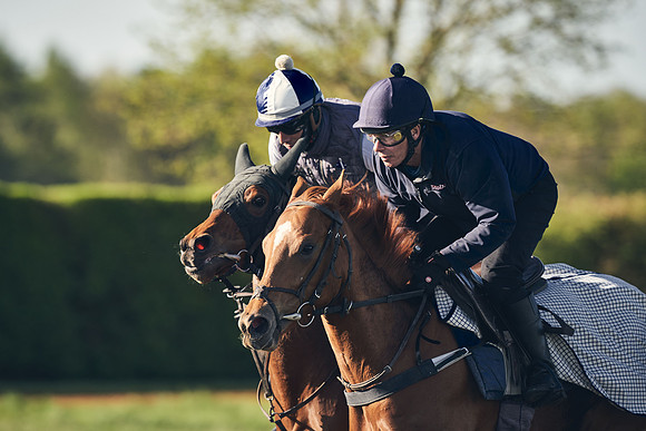 CAMBRIDGE-ROAD-GALLOPS-15TH-APRIL-DJ-_DJ94438-0461
