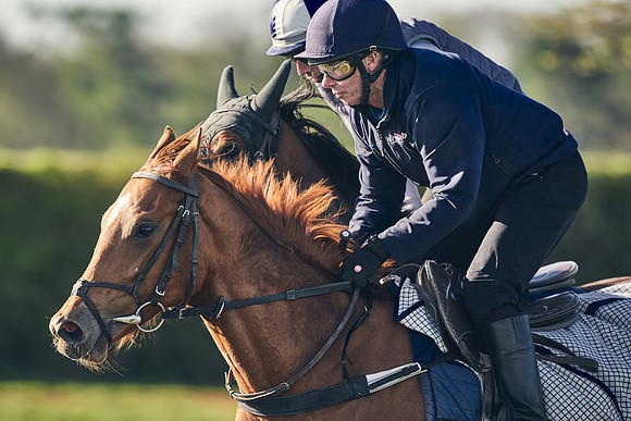 CAMBRIDGE-ROAD-GALLOPS-15TH-APRIL-DJ-_DJ94446-0469