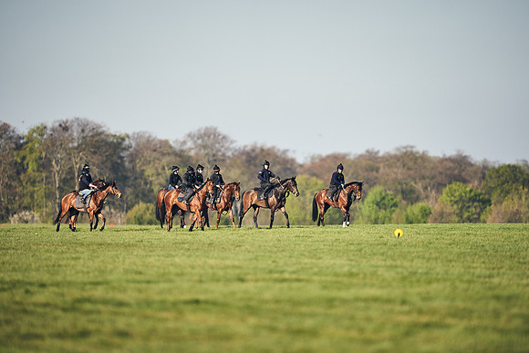 CAMBRIDGE-ROAD-GALLOPS-15TH-APRIL-DJ-_DJ94487-0510