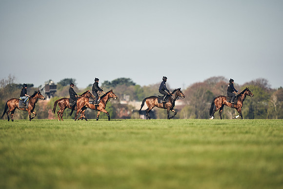 CAMBRIDGE-ROAD-GALLOPS-15TH-APRIL-DJ-_DJ94499-0522