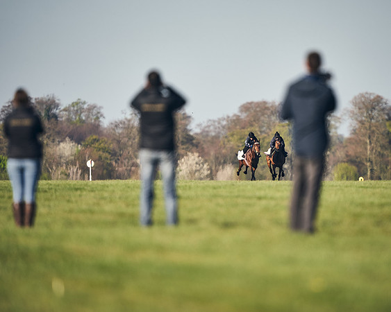 CAMBRIDGE-ROAD-GALLOPS-15TH-APRIL-DJ-_DJ94503-0526
