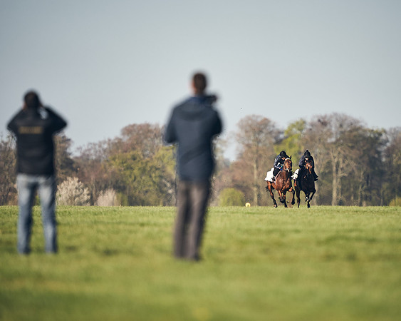 CAMBRIDGE-ROAD-GALLOPS-15TH-APRIL-DJ-_DJ94505-0528