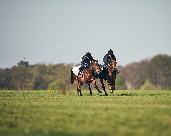 CAMBRIDGE-ROAD-GALLOPS-15TH-APRIL-DJ-_DJ94521-0544