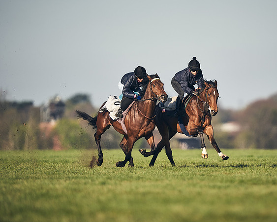 CAMBRIDGE-ROAD-GALLOPS-15TH-APRIL-DJ-_DJ94536-0559