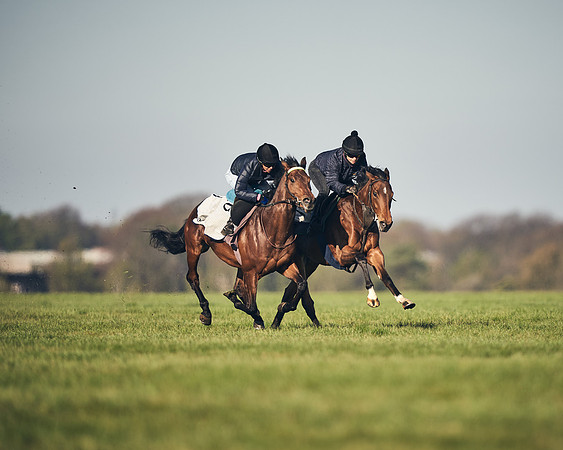 CAMBRIDGE-ROAD-GALLOPS-15TH-APRIL-DJ-_DJ94541-0564
